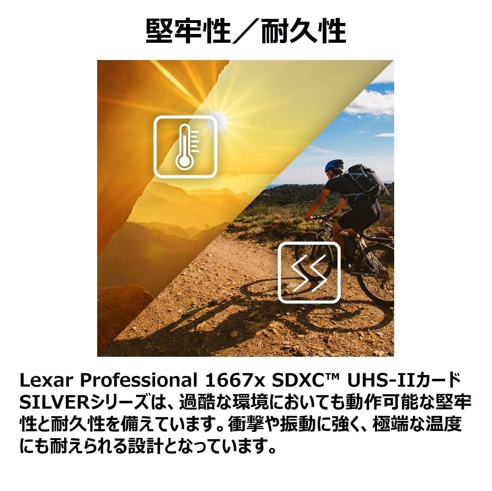 Lexar LSD128CB1667 SDXC Card, 128 GB Silver Series, 1667x UHS-II Class 10,…