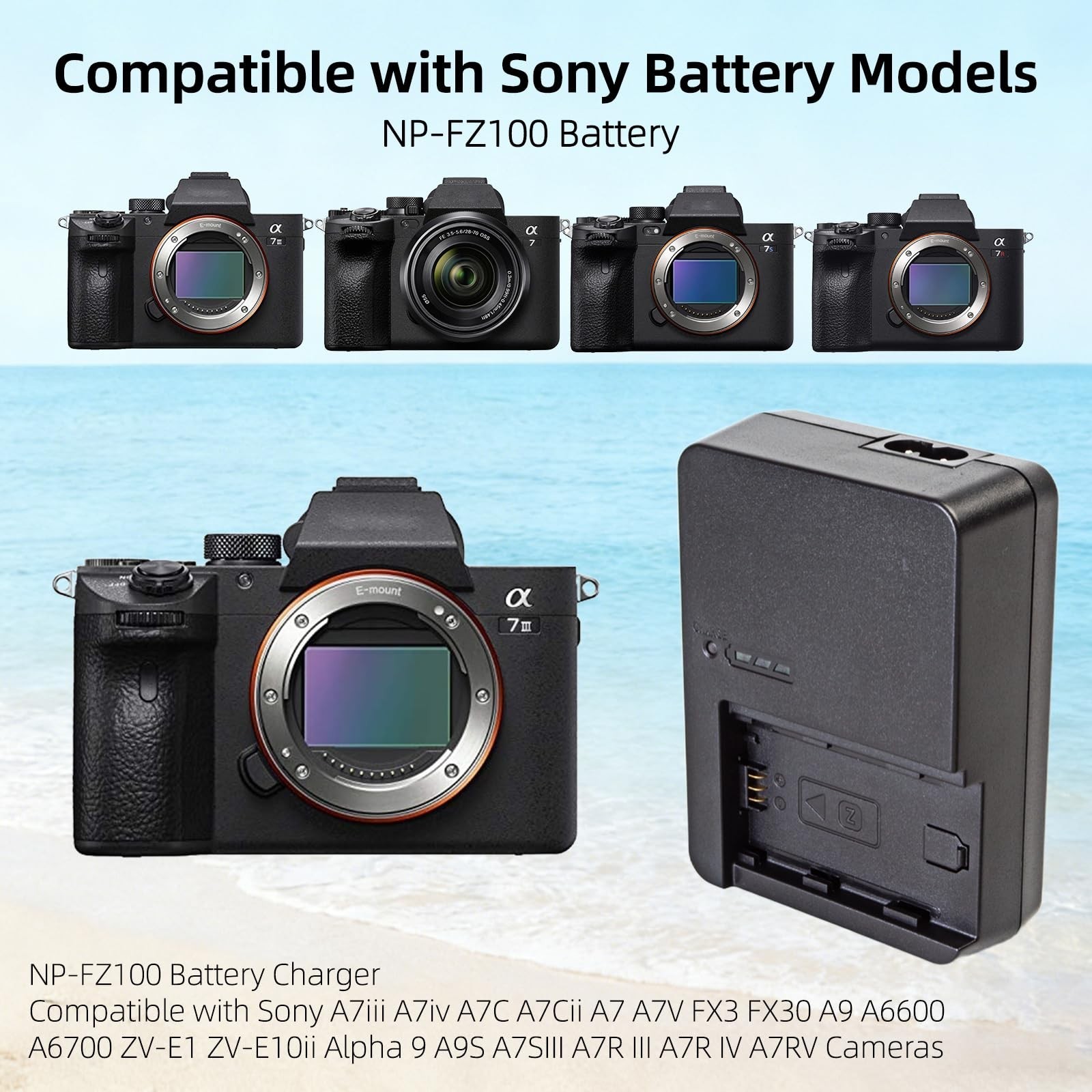 NP-FZ100 Battery Charger for Sony A7IV A7C A7R IV FX3 FX30 A6700