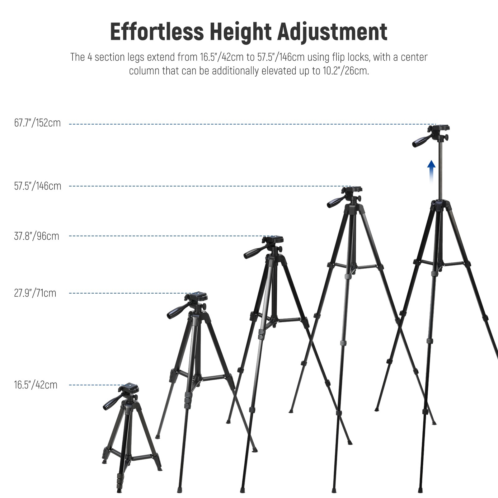 NEEWER TP53D Phone & Camera Tripod w/Cold Shoe, Lightweight