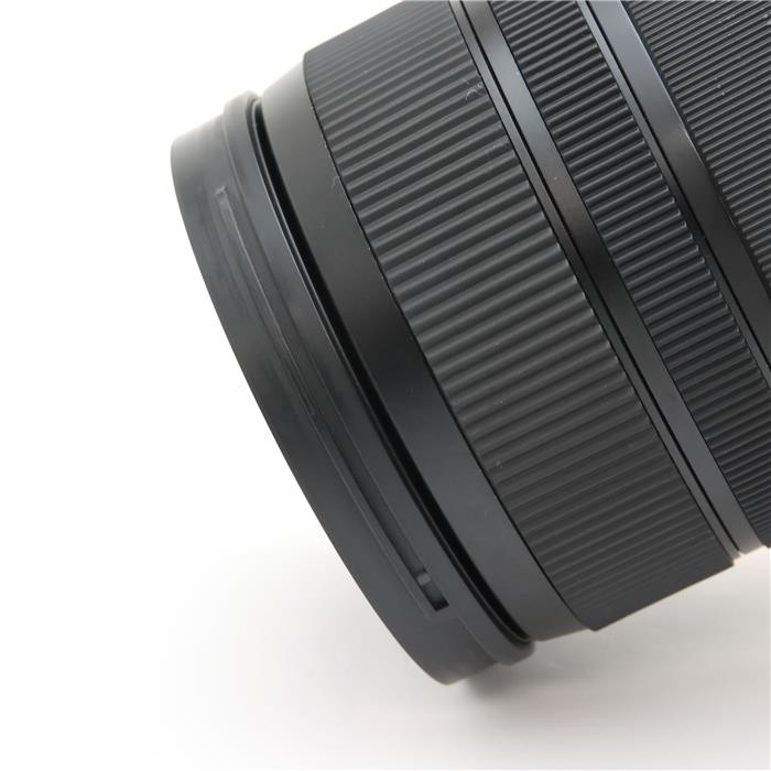 Sigma 24-70mm F/2.8 DG OS HSM Art (for Canon EF mount) #109