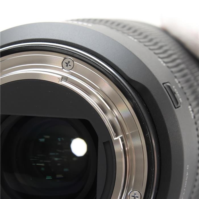 Canon RF 24-105mm F/4L IS USM (Canon RF mount) #130
