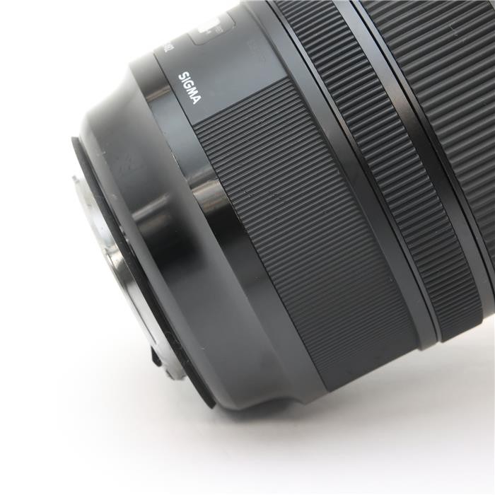 Sigma 24-70mm F/2.8 DG OS HSM Art (for Canon EF mount) #109