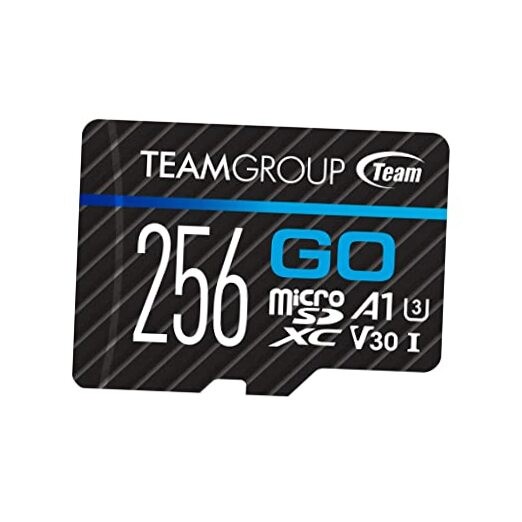 GO Card MicroSDXC UHS-I U3 V30 4K for Action Cameras & 256GB with Adapter
