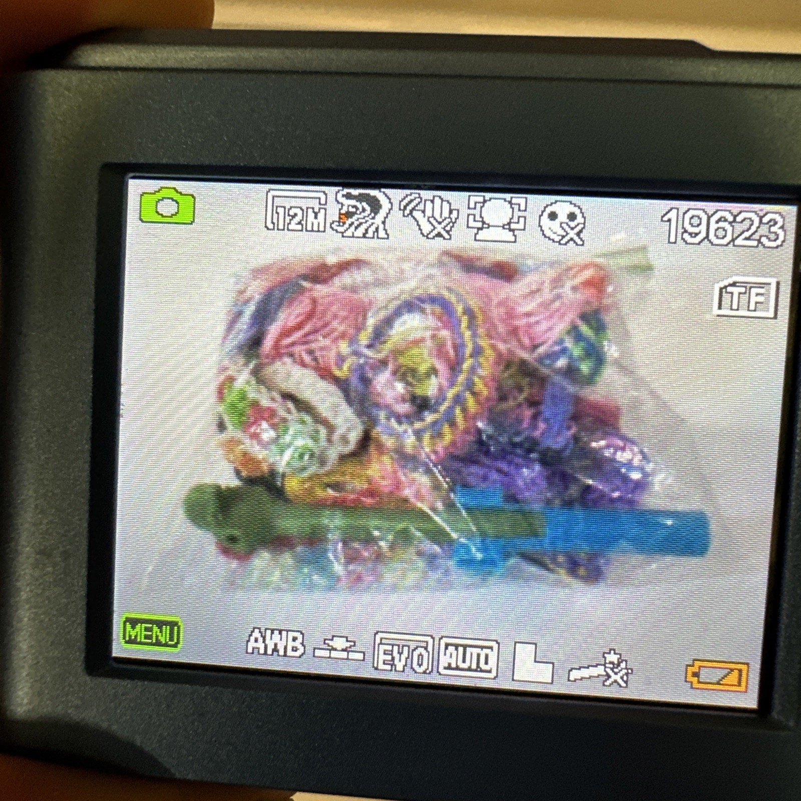 48.0 Mega Pixel Digital Camera 16X Powerful Zoom DC301 with 32 GB memory card