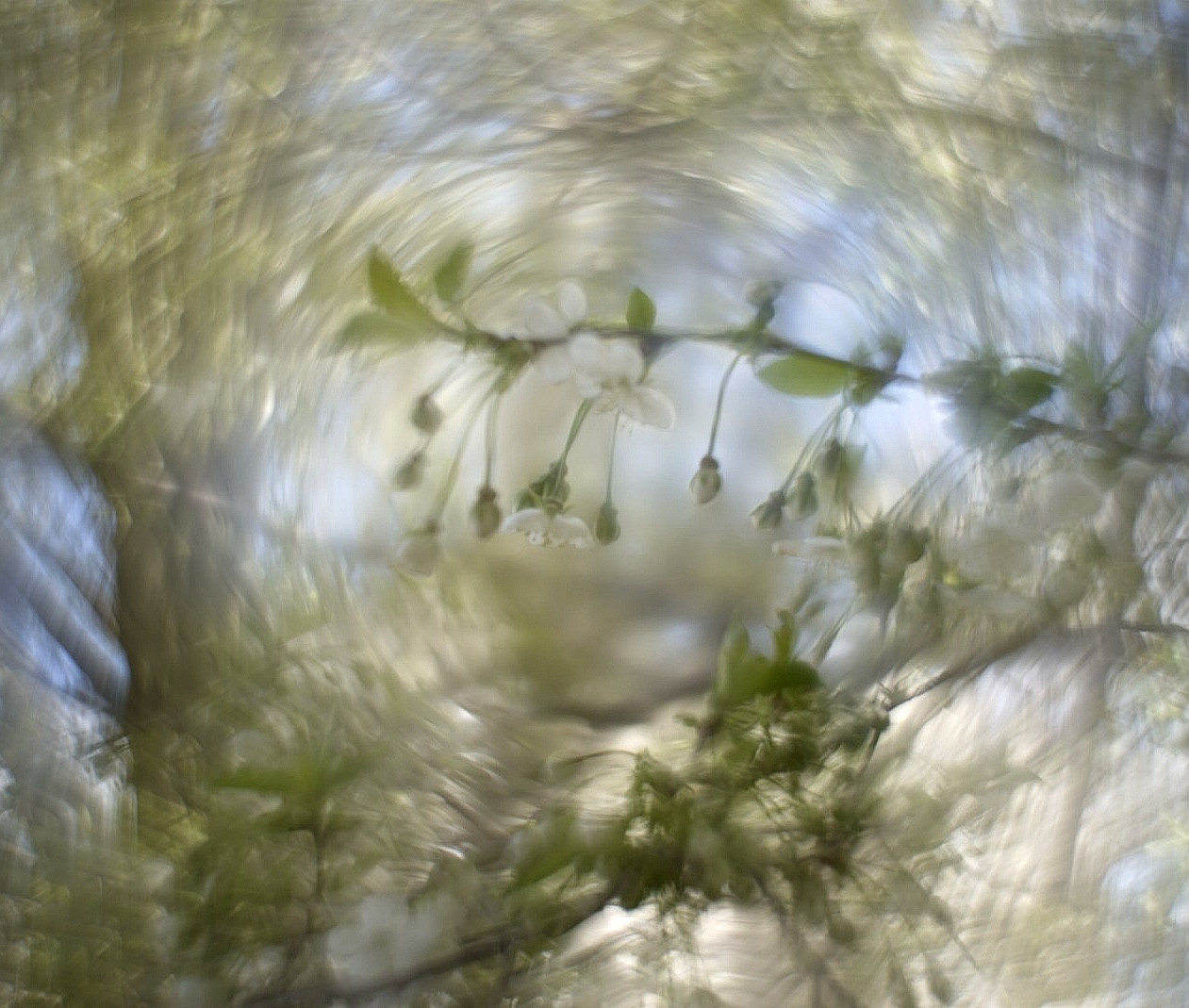 Petzval Modification HELIOS-44 F/2 58mm Dreamy Swirly Bokeh SONY E MOUNT Adapter