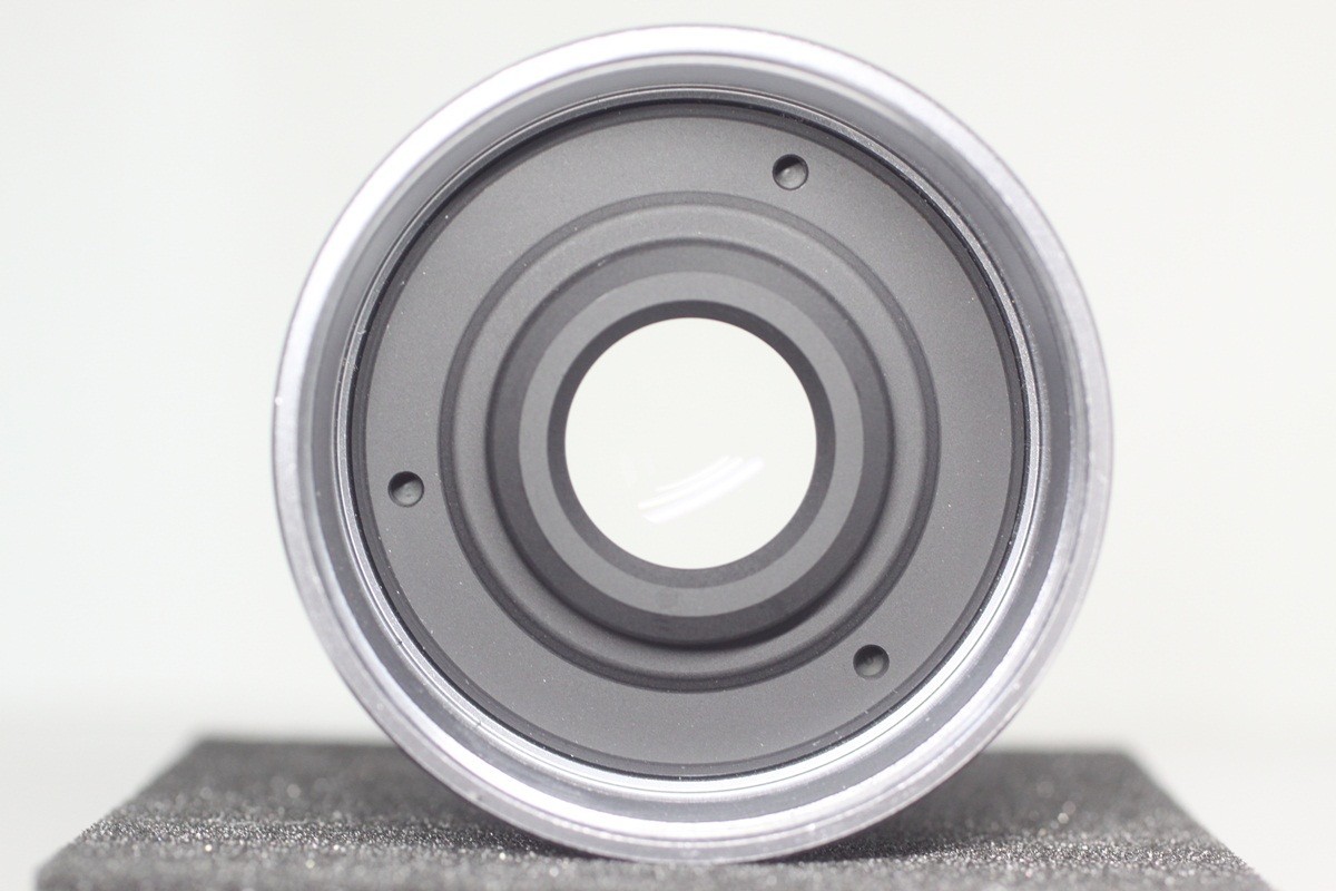 Fujifilm WCL-X100 Wide Conversion Lens (Silver)