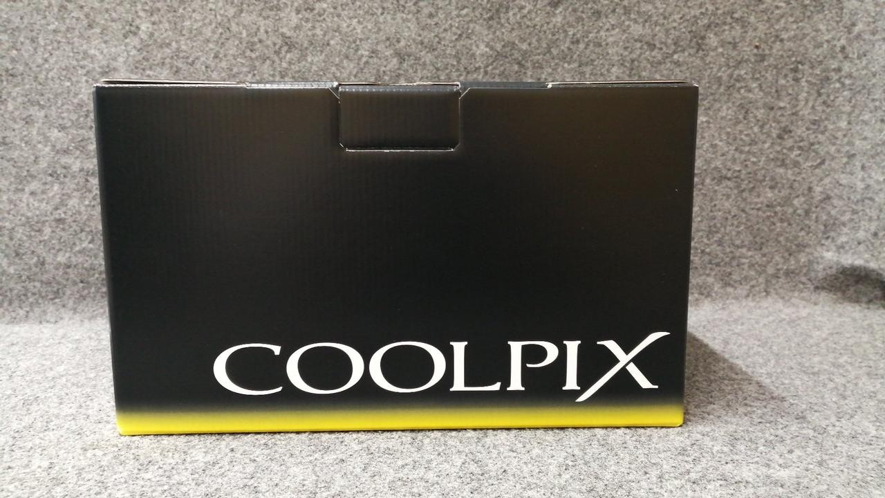 Nikon Coolpix P1100 16MP 125x Optical Zoom Digital Camera with Accessories