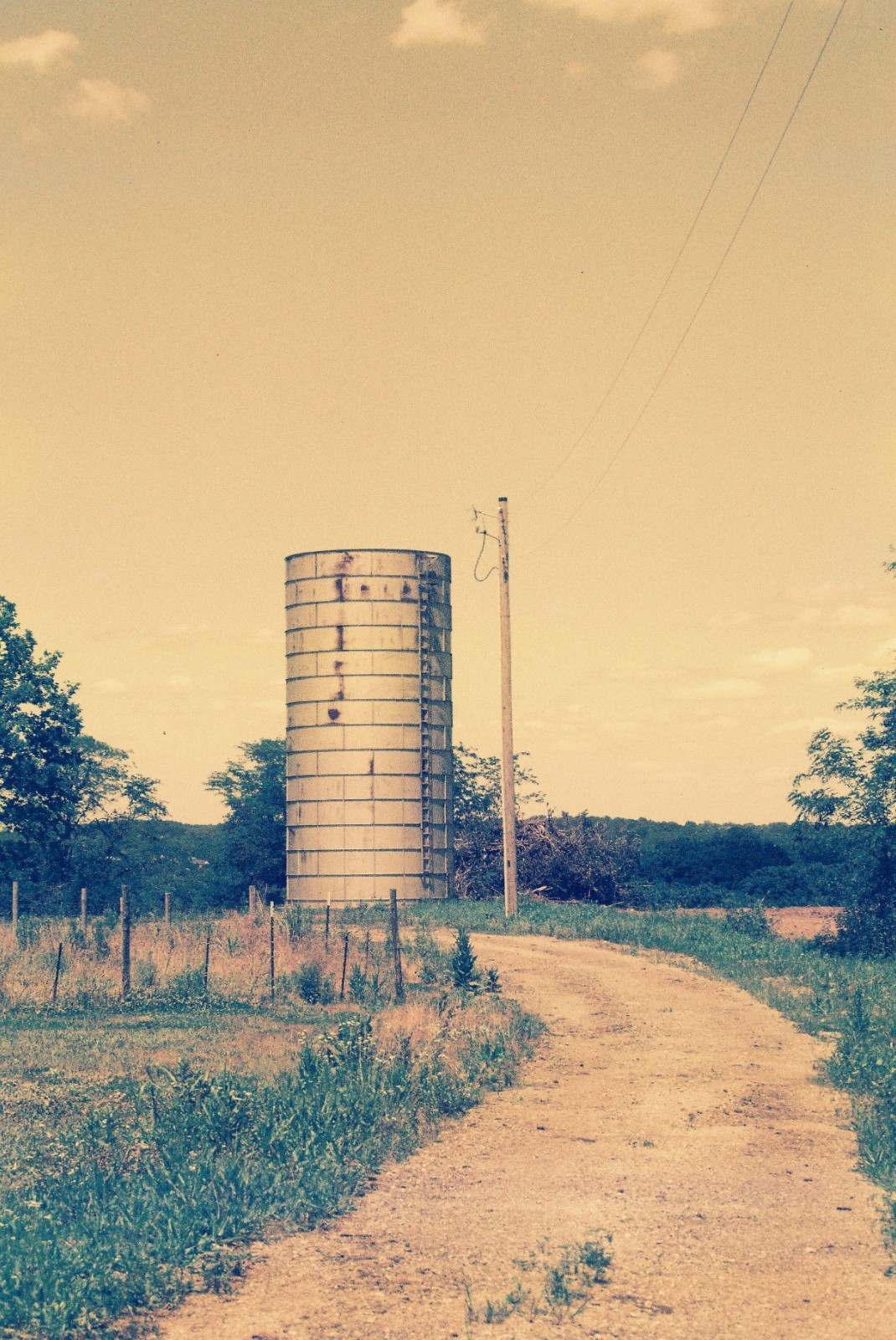 THE VENUS PROJECT – BRAND NEW 35mm Color Negative Film 100 ISO -Experimental Fun