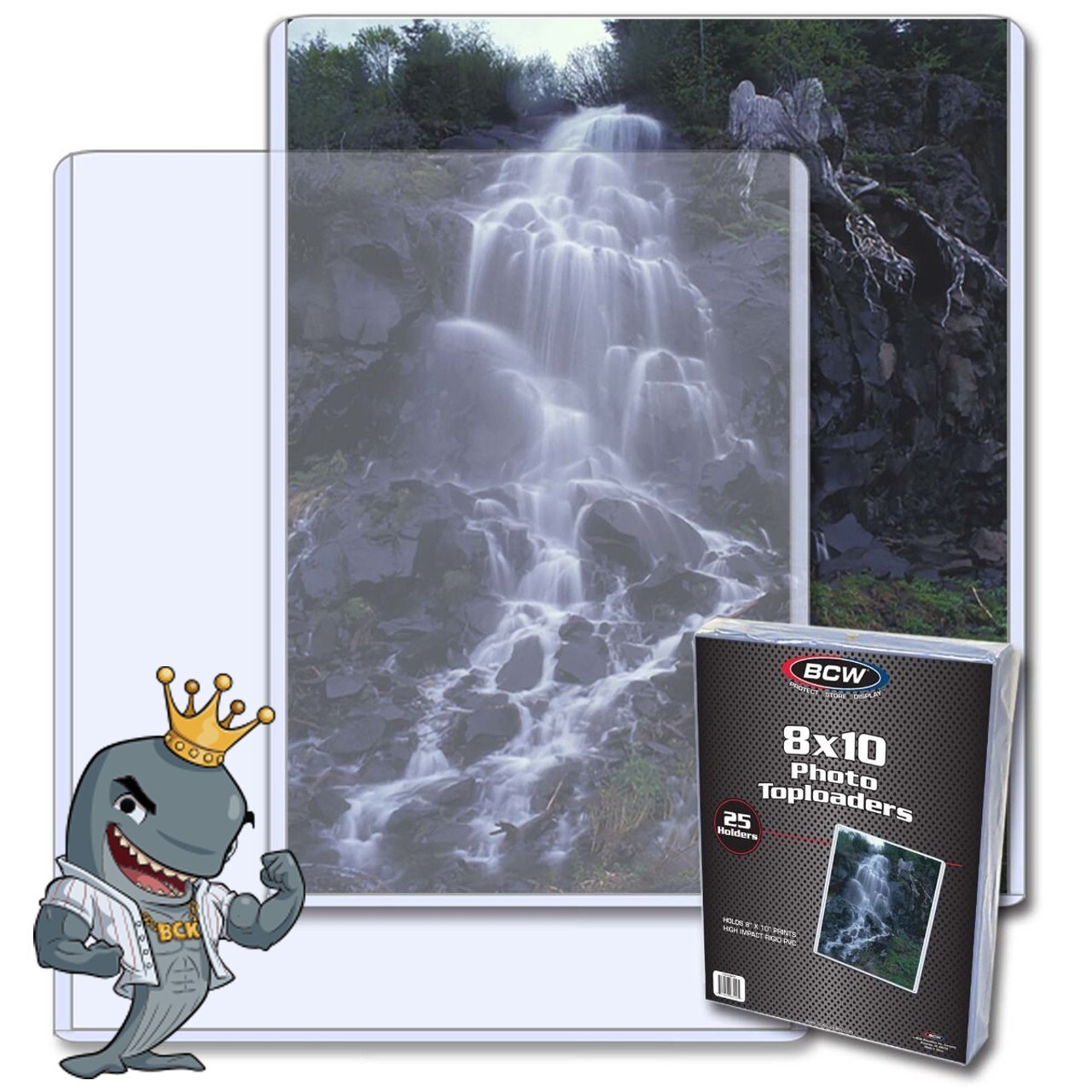 BCW 8×10 Topload Holder 25ct Pack FREE SHIP