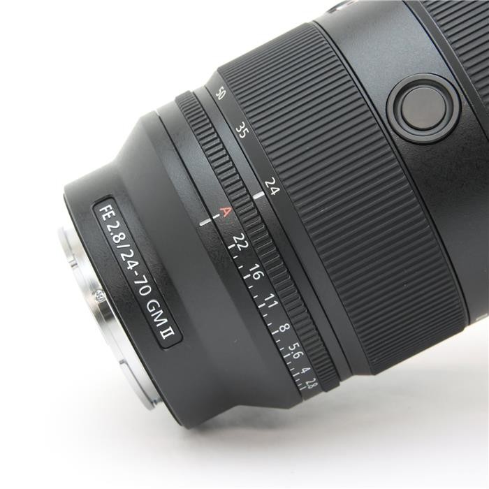 Sony FE 24-70mm F/2.8 GM II SEL2470GM2 (Sony E mount) #110