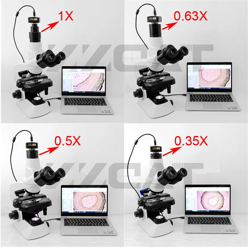 1X 0.35X 0.5X 0.63X Focusable Microscope C mount Adapter Trinocular Reduce Lens