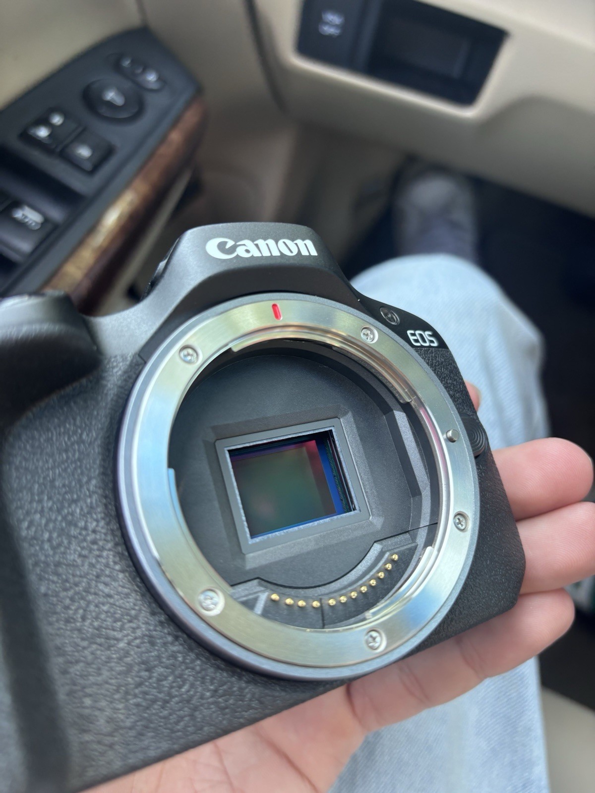 Canon EOS R100 4K Mirrorless Video Camera Body