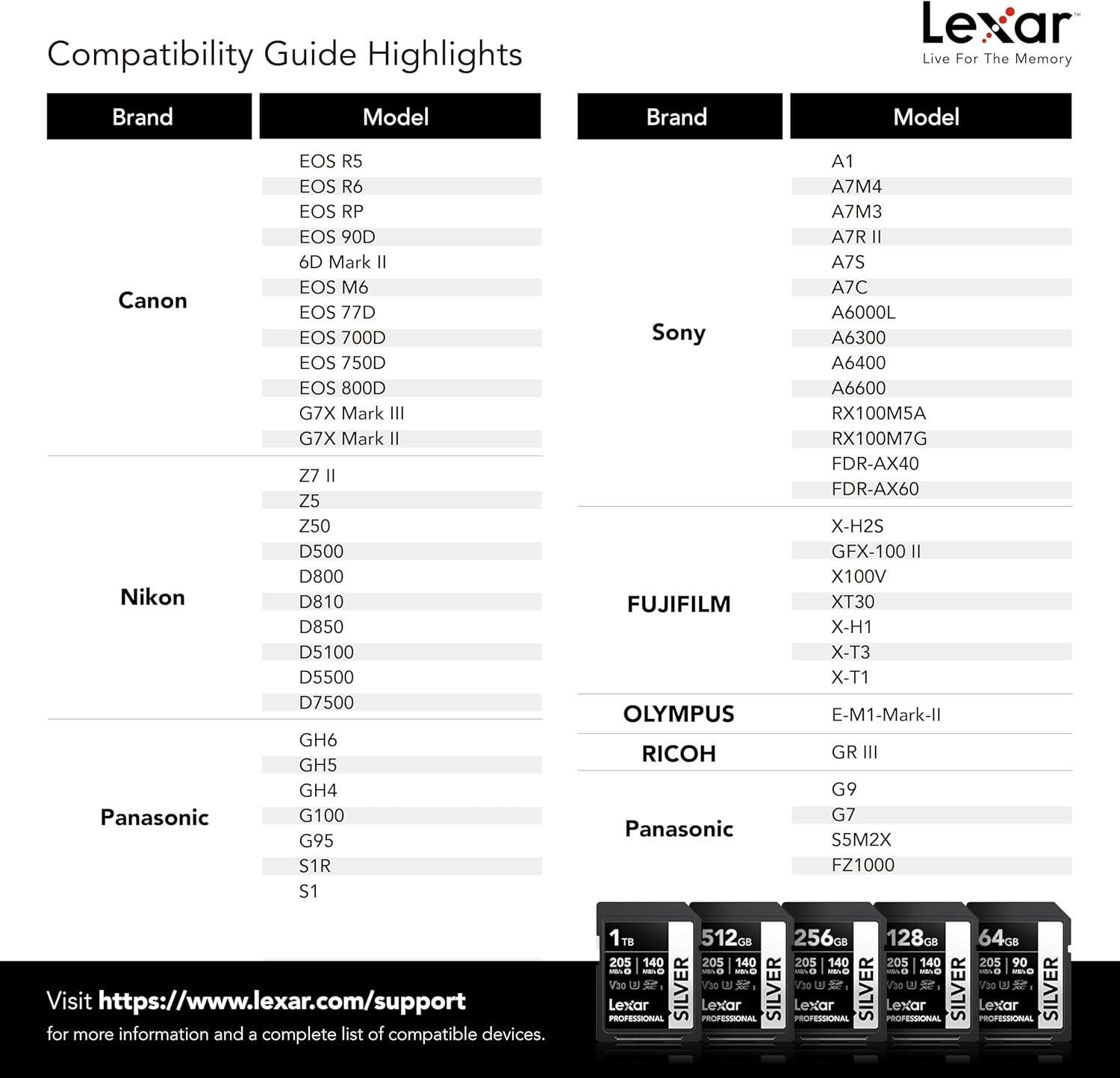 256GB Professional Silver SD Card, UHS-I, C10, U3, V30, 4K, Up to 205/140 MB/…