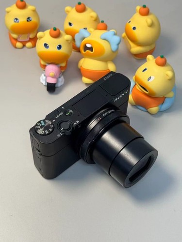 Sony CyberShot RX100 VA DSC RX100M5A 20.1MP 4K Video 24-70mm ZEISS Lens