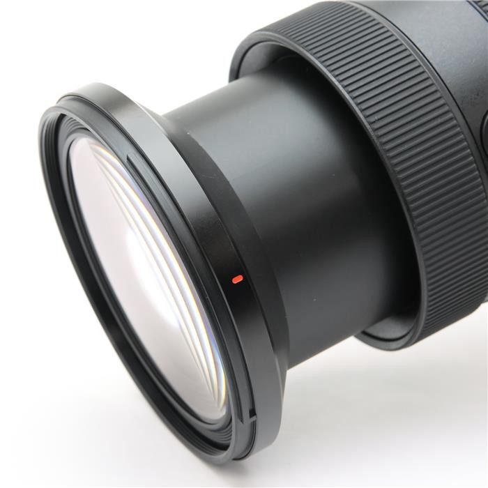 Sony FE 24-70mm F/2.8 GM II SEL2470GM2 (Sony E mount) #110