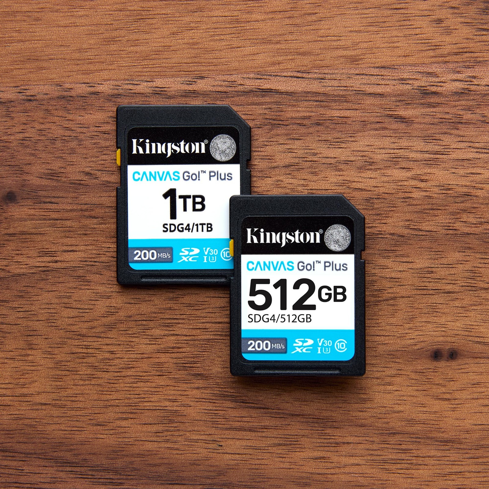 Canvas Go Plus 128GB SD Card | Up to 200MB/s | Class 10, UHS-I, U3, V30 | SDG4/1