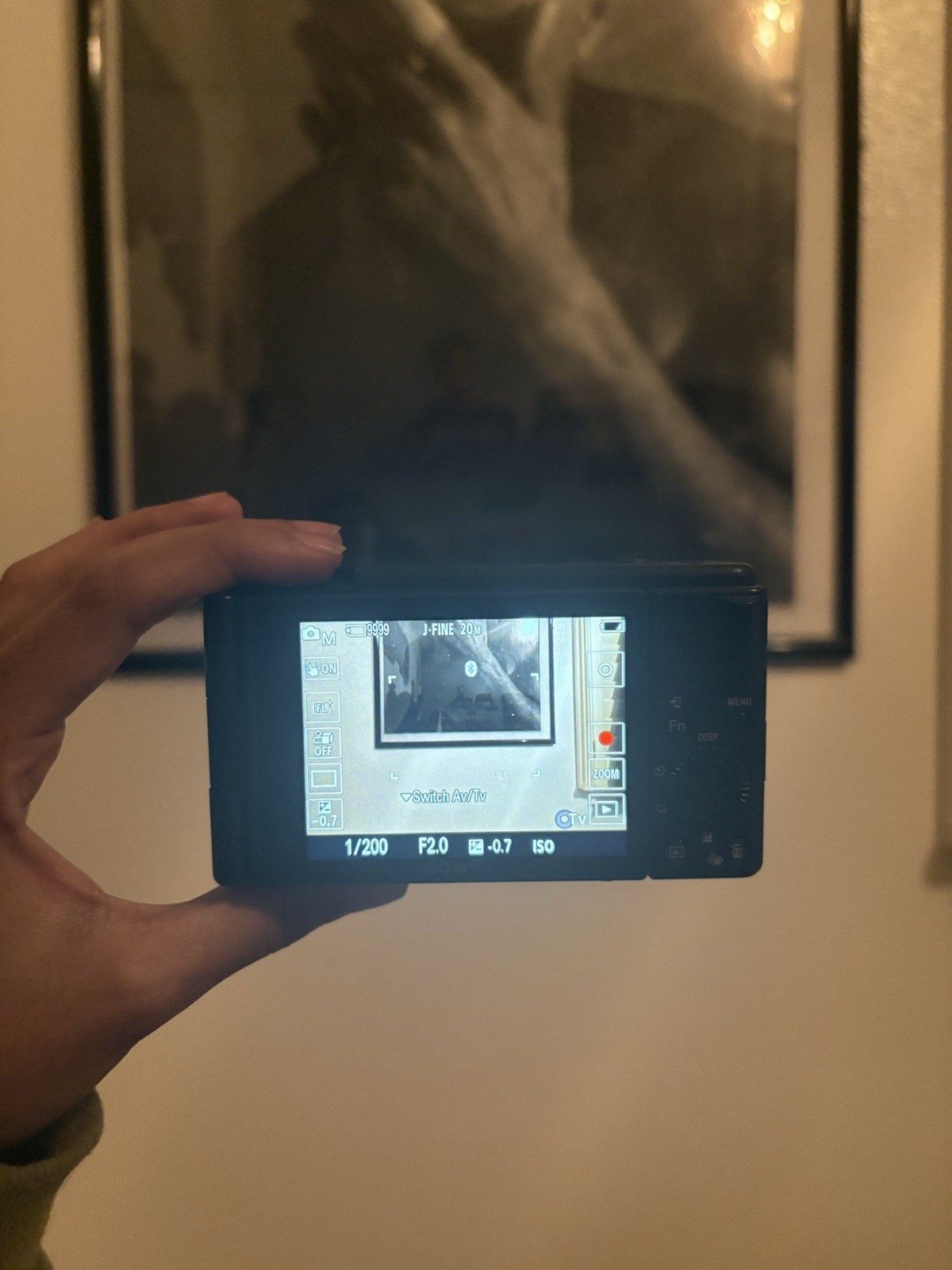 Sony ZV-1F Compact Digital Vlogging 4K Camera for Content Creators Vloggers