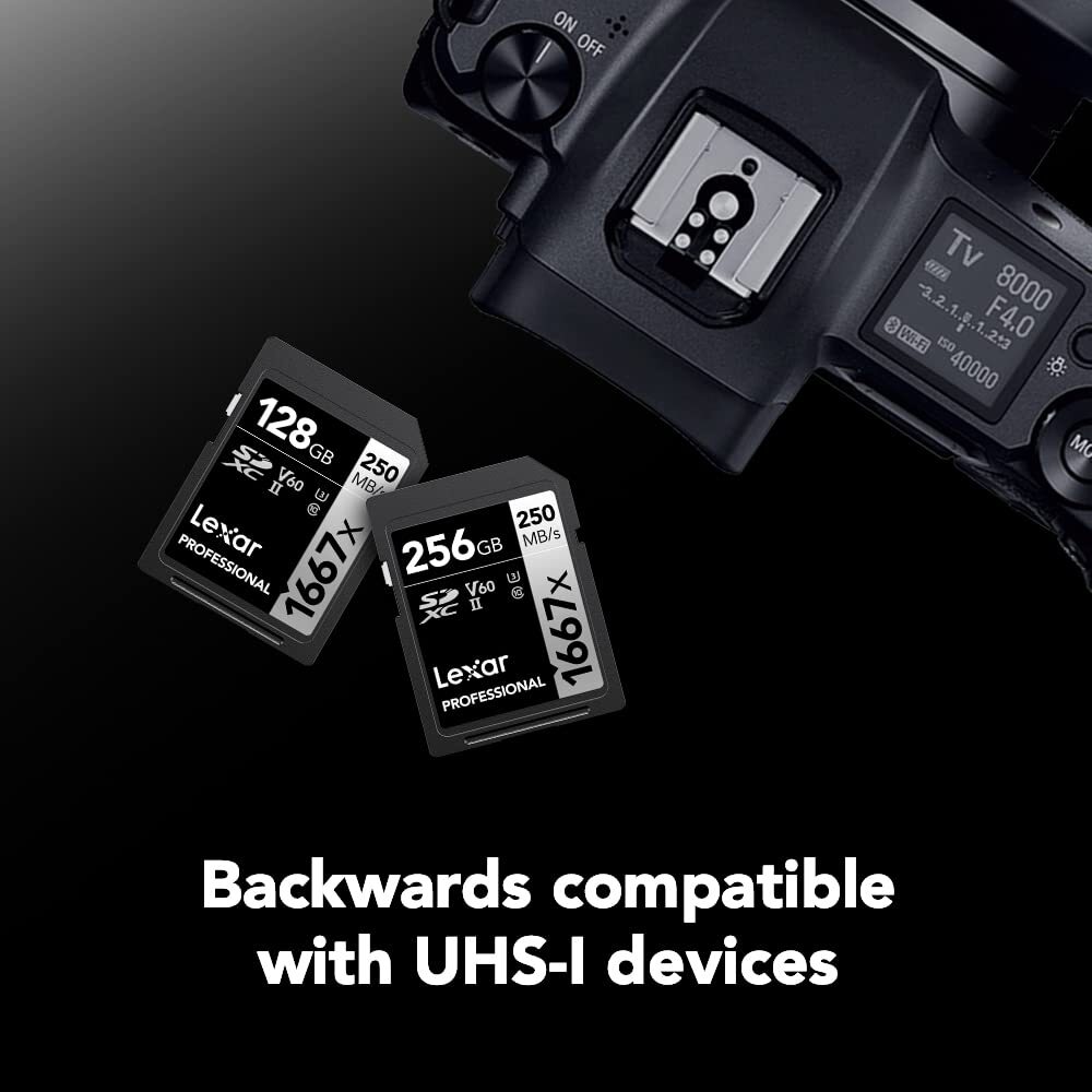 64GB (2-Pack) Professional 1667x SD Card, UHS-II, C10, U3, V60, Full HD, 4K, Up