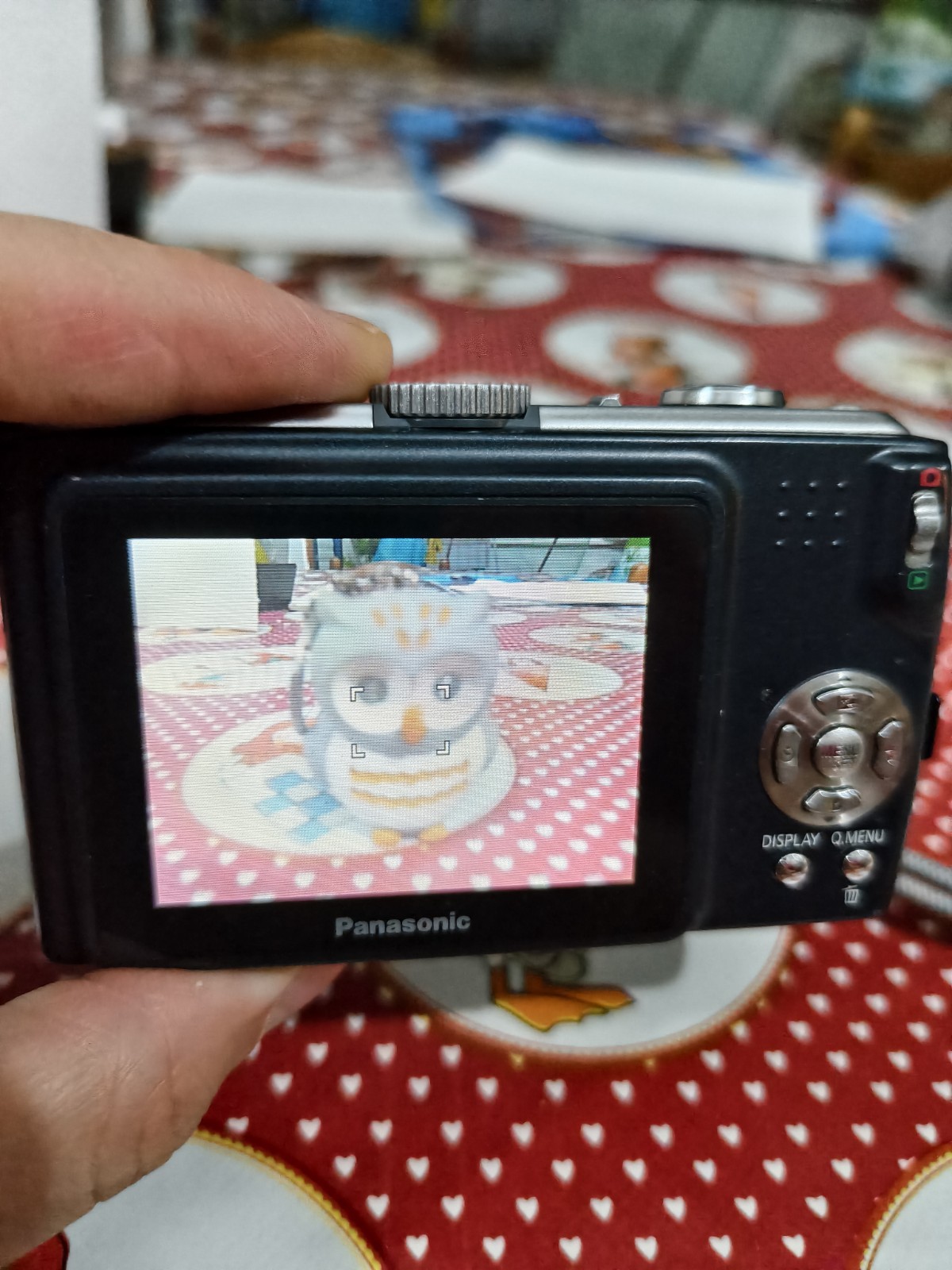Panasonic Lumix DMC-TZ4 Camera