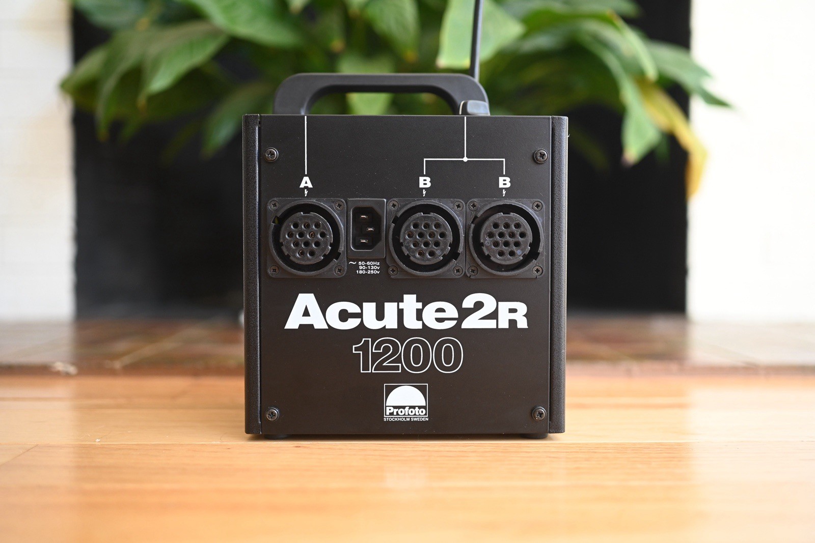 Profoto Acute2R 1200W Flash Lighting Kit: 2 Acute D4 Heads, PocketWizard PlusIII