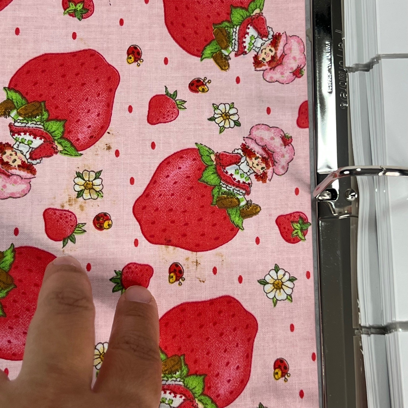 Handmade Strawberry Shortcake Fabric Photo Album 3-Ring Binder Eyelet Lace Pink