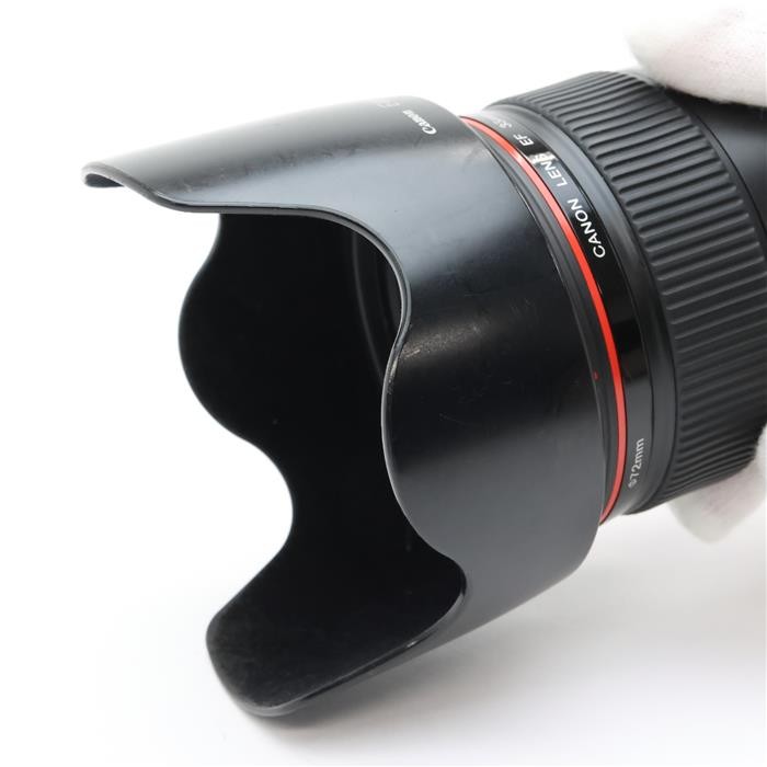 Canon EF 35mm F/1.4L USM (Canon EF mount) #78