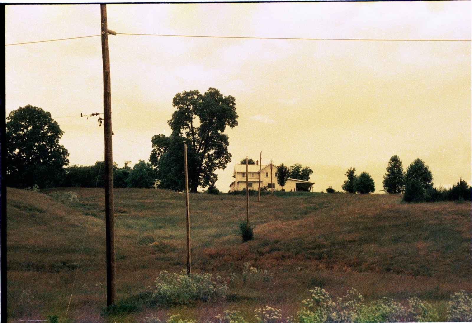 THE VENUS PROJECT – BRAND NEW 35mm Color Negative Film 100 ISO -Experimental Fun