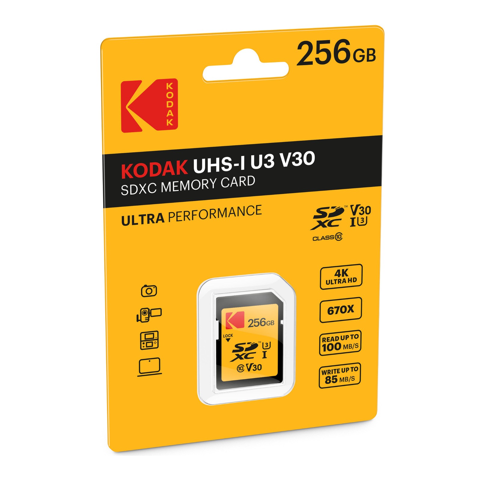 Kodak 256GB Class 10 UHS1 U3 V30 A1 Memory Card