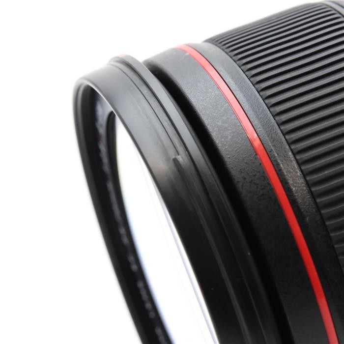 Canon EF 24-70mm F/2.8L II USM (Canon EF mount) #69