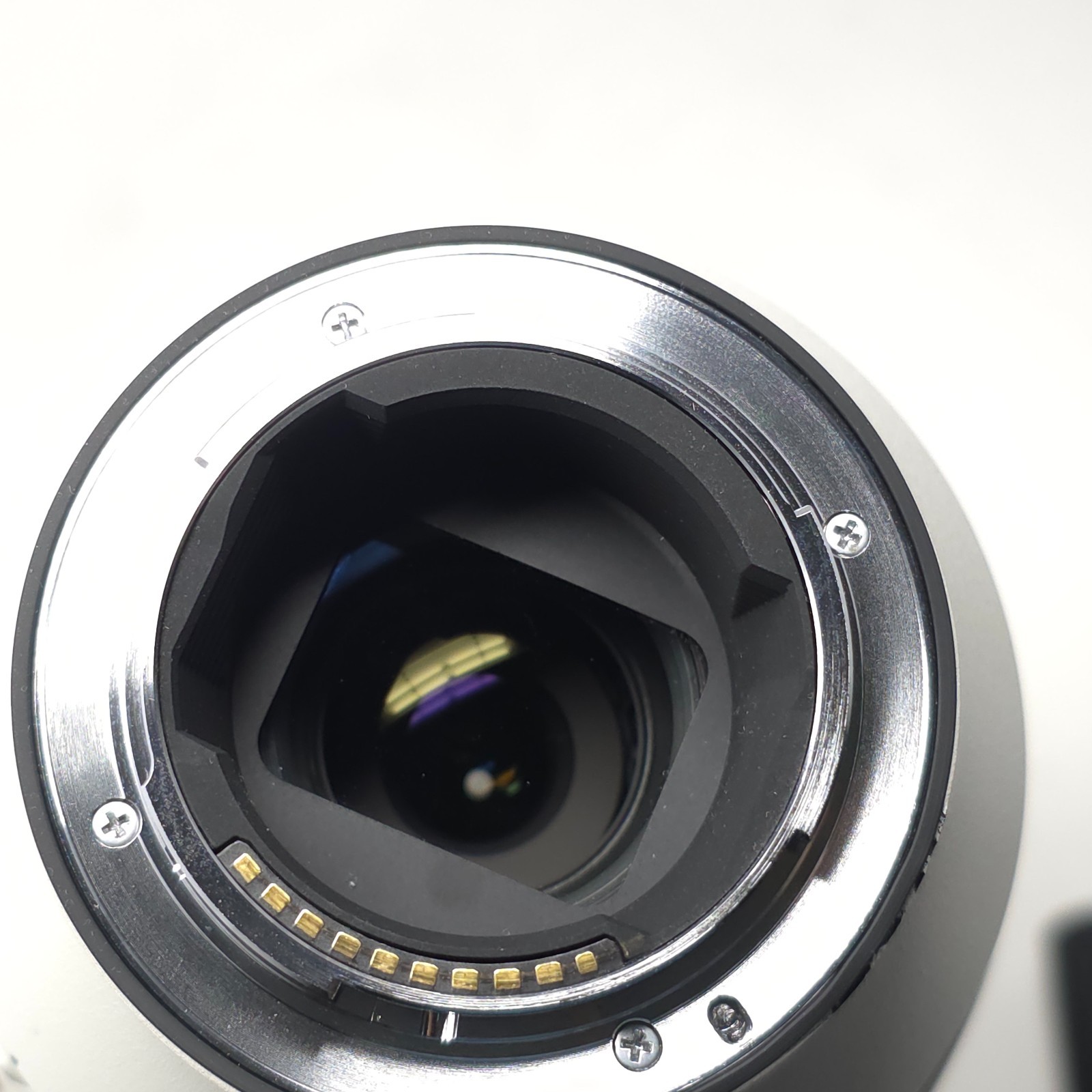 Sony FE 200-600mm f/5.6-6.3 G OSS Telephoto Zoom Lens