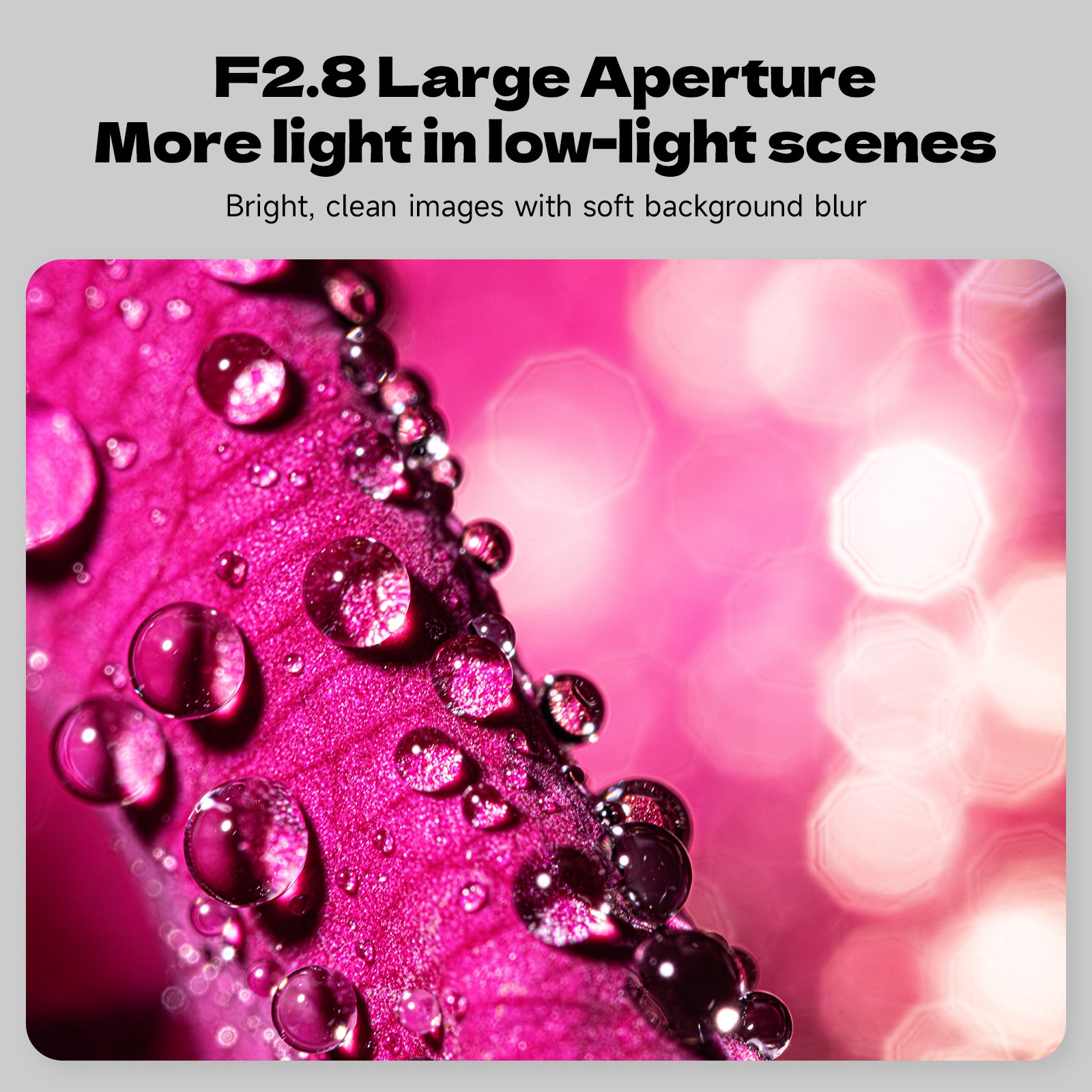 Brightin Star 60mm F2.8 2X Macro APS-C MF Lens for Sony Nikon Canon Fujifilm M43