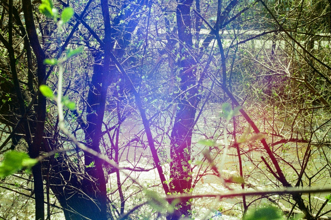 Galatic Pigeon 400 – 35mm Experimental Color Film – 36 Exposure Roll