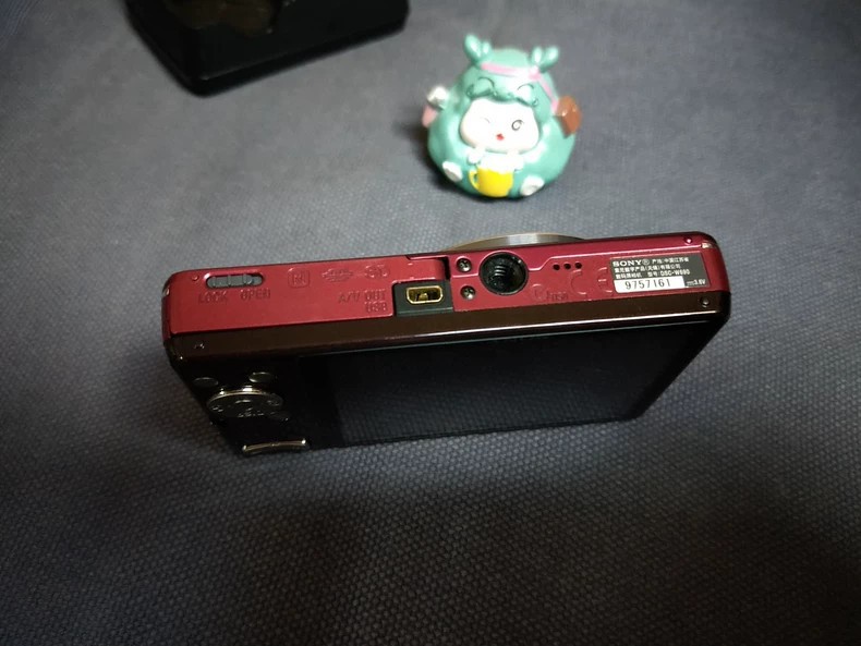 Sony Cyber-shot DSC-W690 16.1MP Digital Camera 10x Zoom Camera English Red