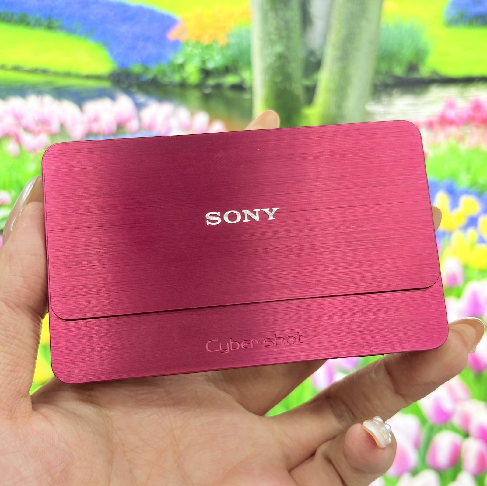 Sony Cybershot DSC-T700 10MP Digital Camera 4x Optical Zoom w/SD Card,Charger