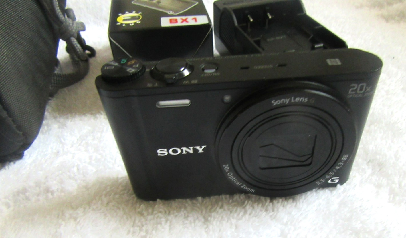 Sony Cyber-shot DSC-WX350 Compact Digital Camera 18.2MP 20x Optical Black Tested