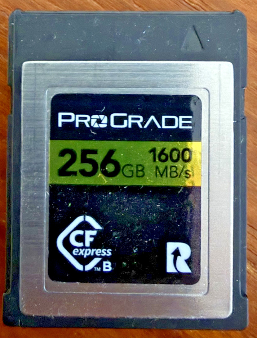 PROGRADE 256GB 1600MB/s CF-Express Type B Memory Card