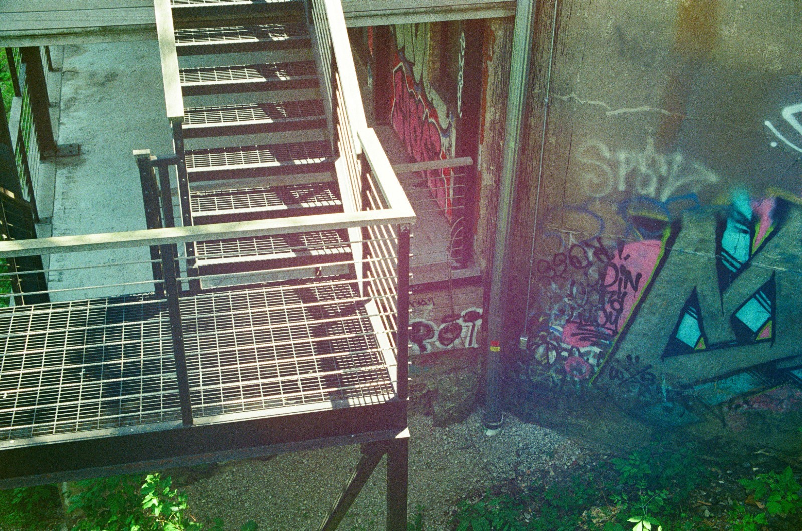 Galatic Pigeon 400 – 35mm Experimental Color Film – 36 Exposure Roll