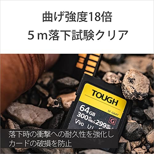Sony SDXC Memory Card 64 GB Class 10 UHS-II Compatible SF-G64T