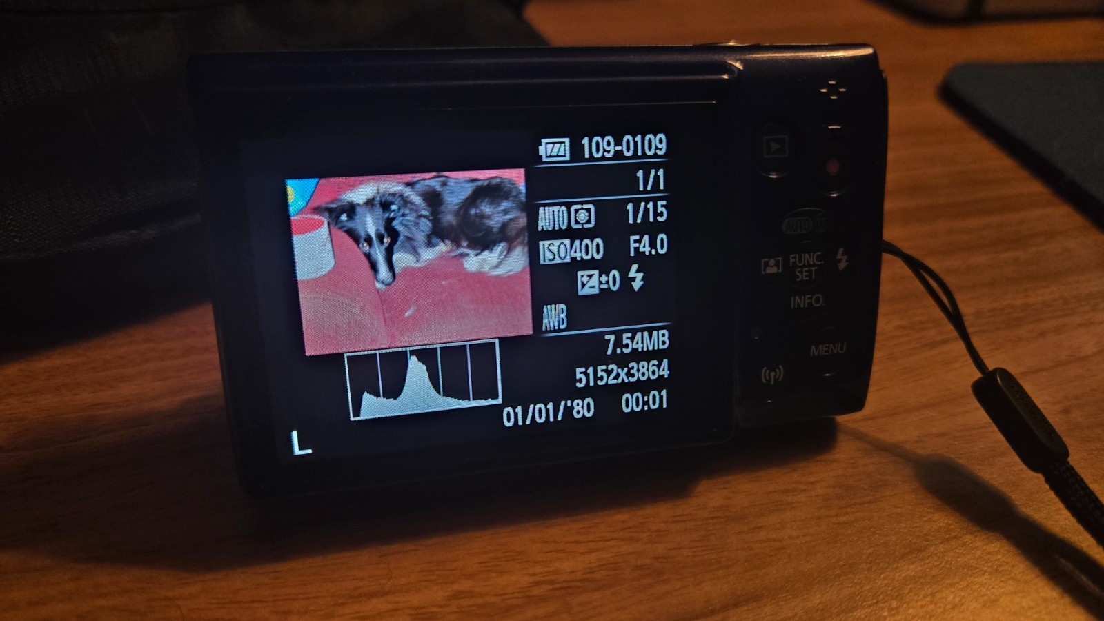 Canon PowerShot ELPH 190 IS Blue 20MP 10x Zoom Y2K Digicam Wi-Fi Bundle TESTED