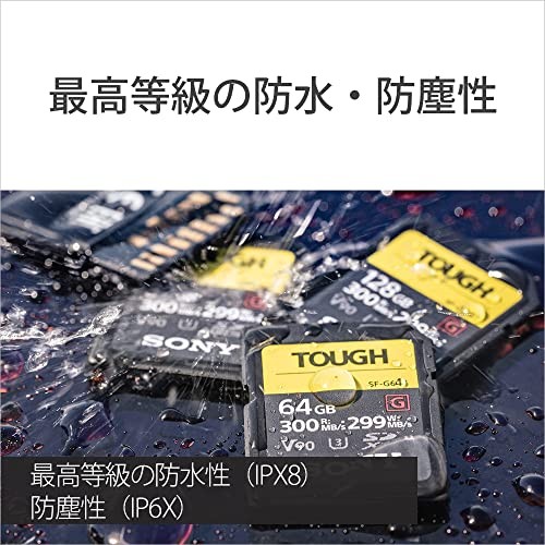 Sony SDXC Memory Card 64 GB Class 10 UHS-II Compatible SF-G64T