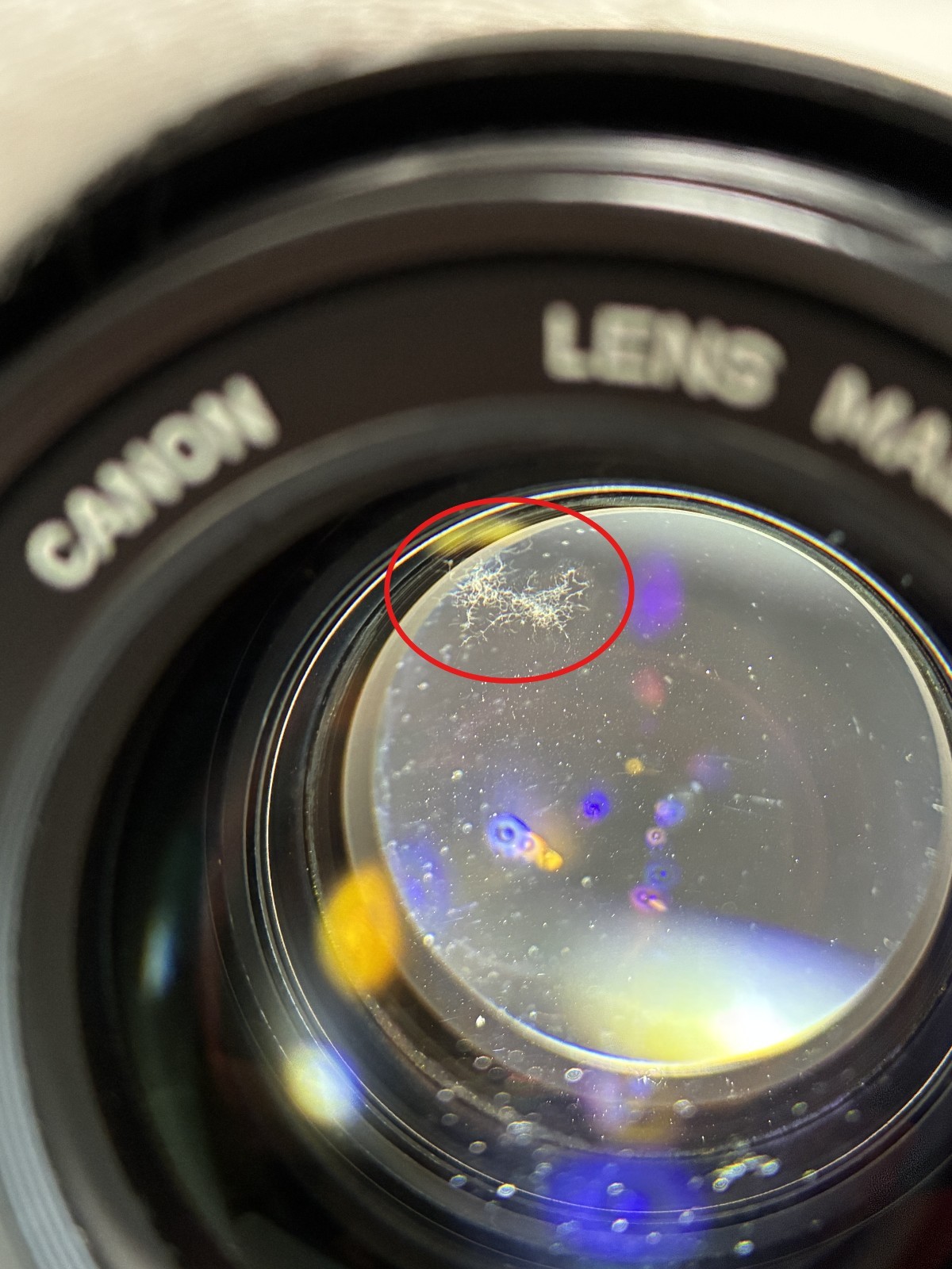 [Exc+4] Canon FD 55mm f/1.2 S.S.C. MF Lens From Japan #3202