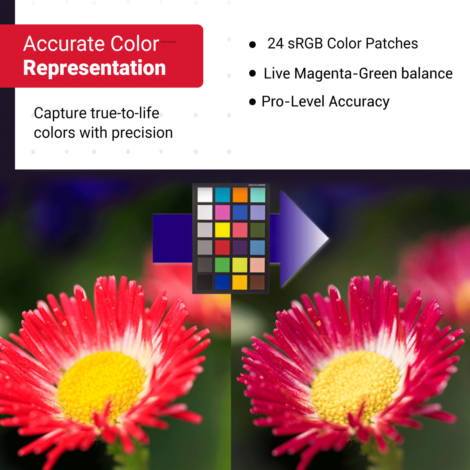 Datacolor SpyderCHECKR SCK200 Color Calibration Target Tool for Digital Cameras