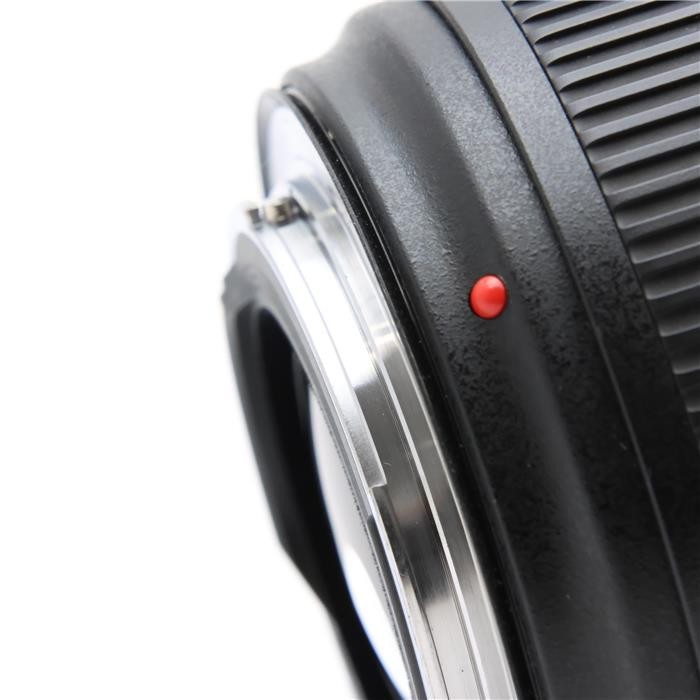 Canon EF 24-70mm F/2.8L II USM (Canon EF mount) #69