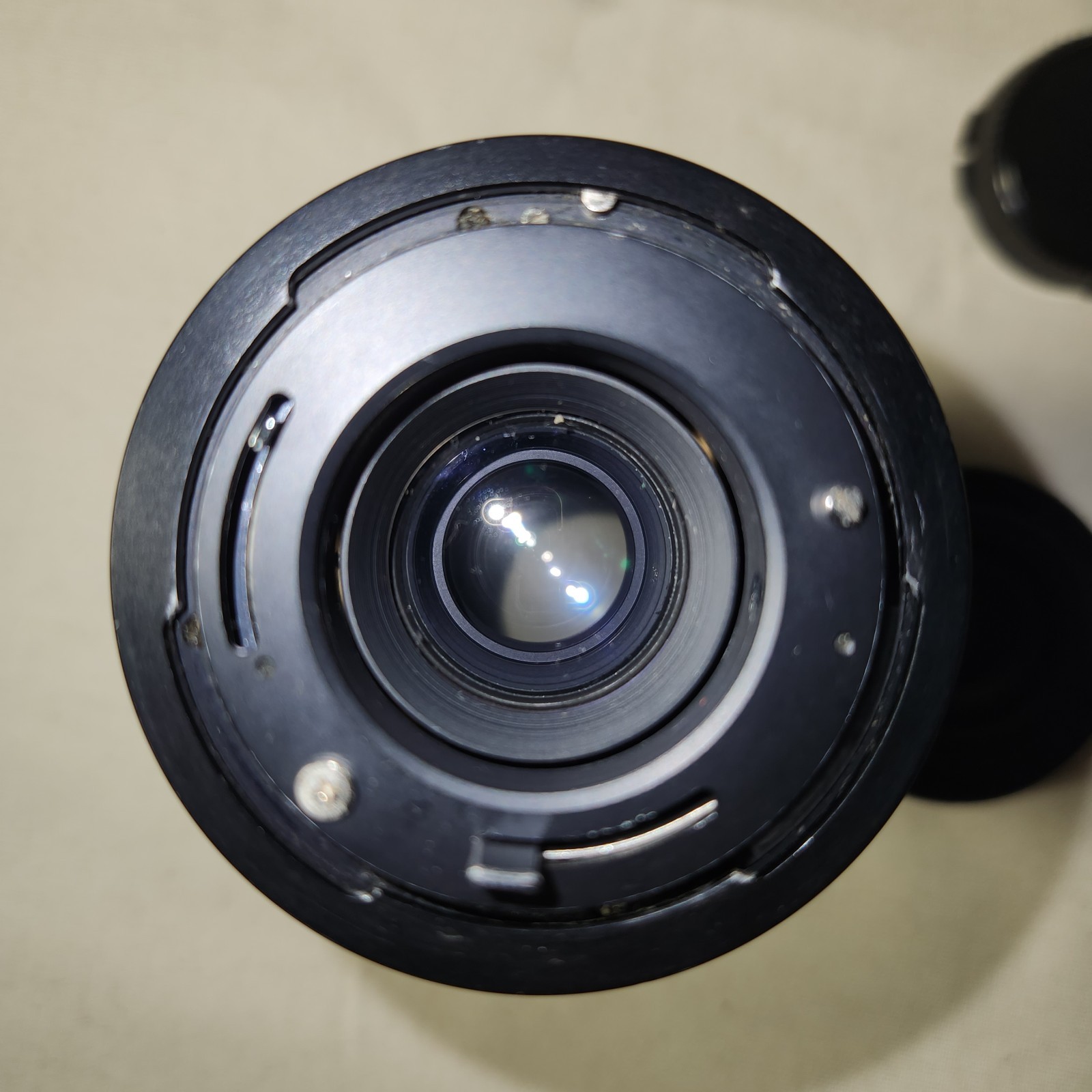 JCPenney Tele-Zoom Lens 80-200mm f/3.9. Macro & Vivitar MC TeleConverter 2x 2x-4