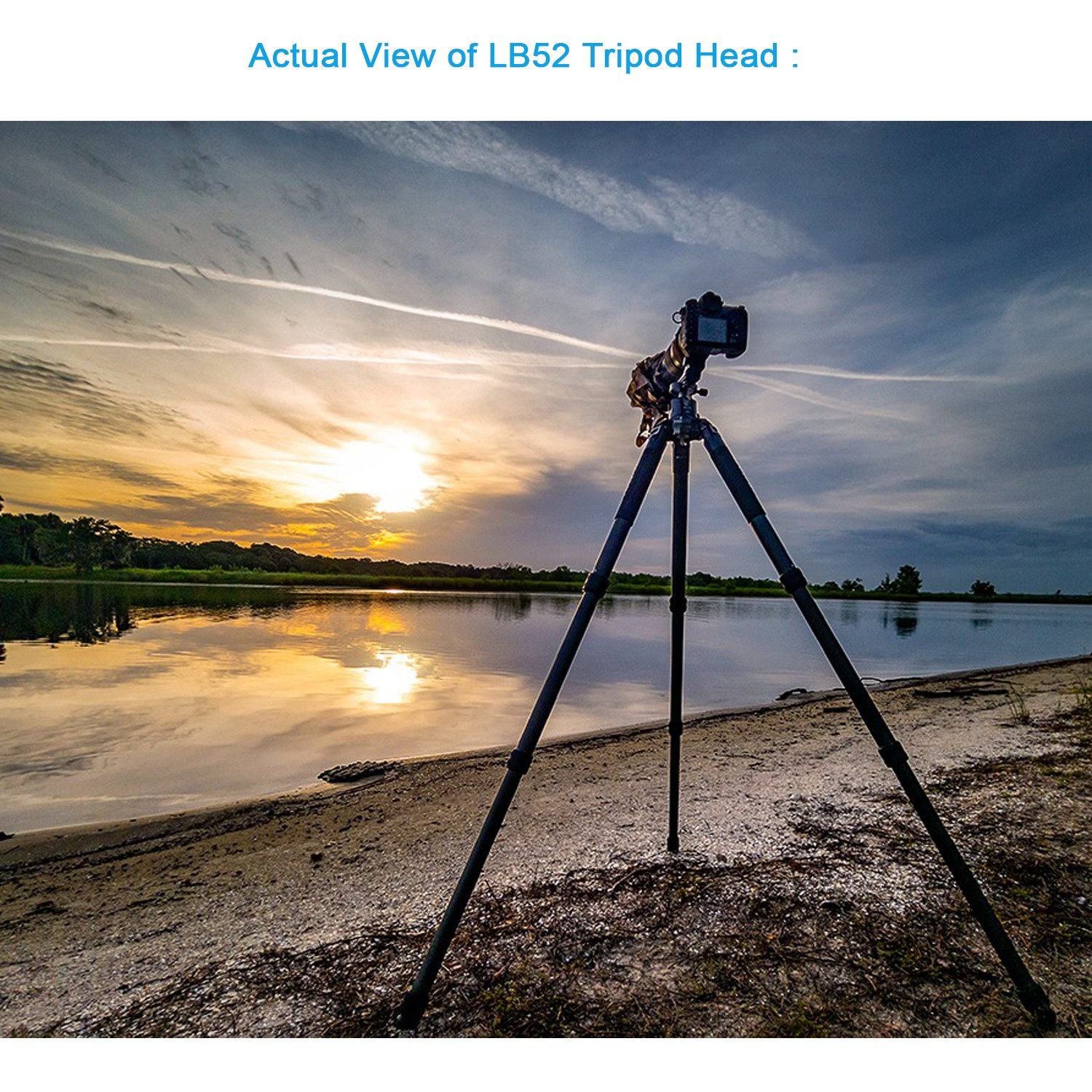 Low Profile Ball Head 52MM All Metal CNC Tripod Head for Tripod, Monopod, DSLR