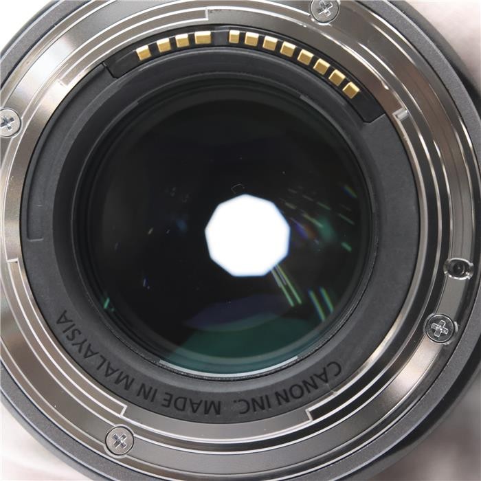 Canon RF 45mm F1.2 STM (for Canon RF mount) #141