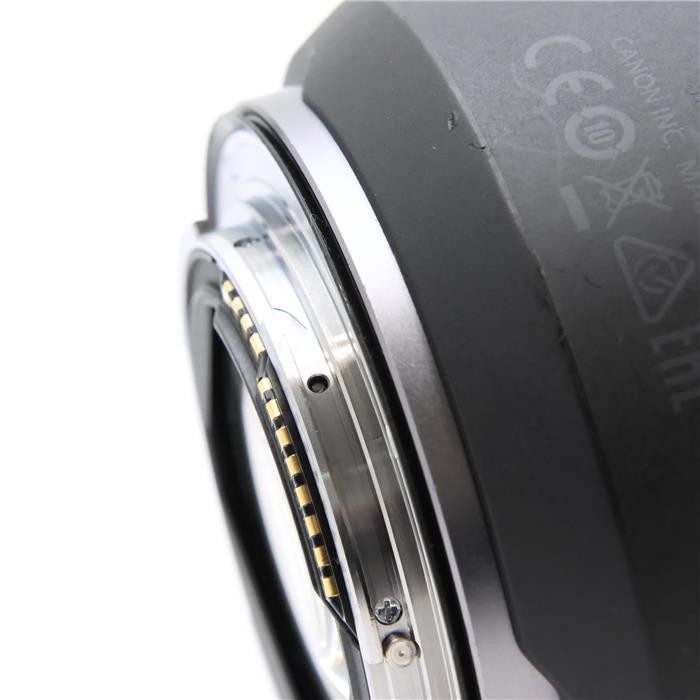 Canon RF 24-70mm F/2.8L IS USM (Canon RF mount) #152