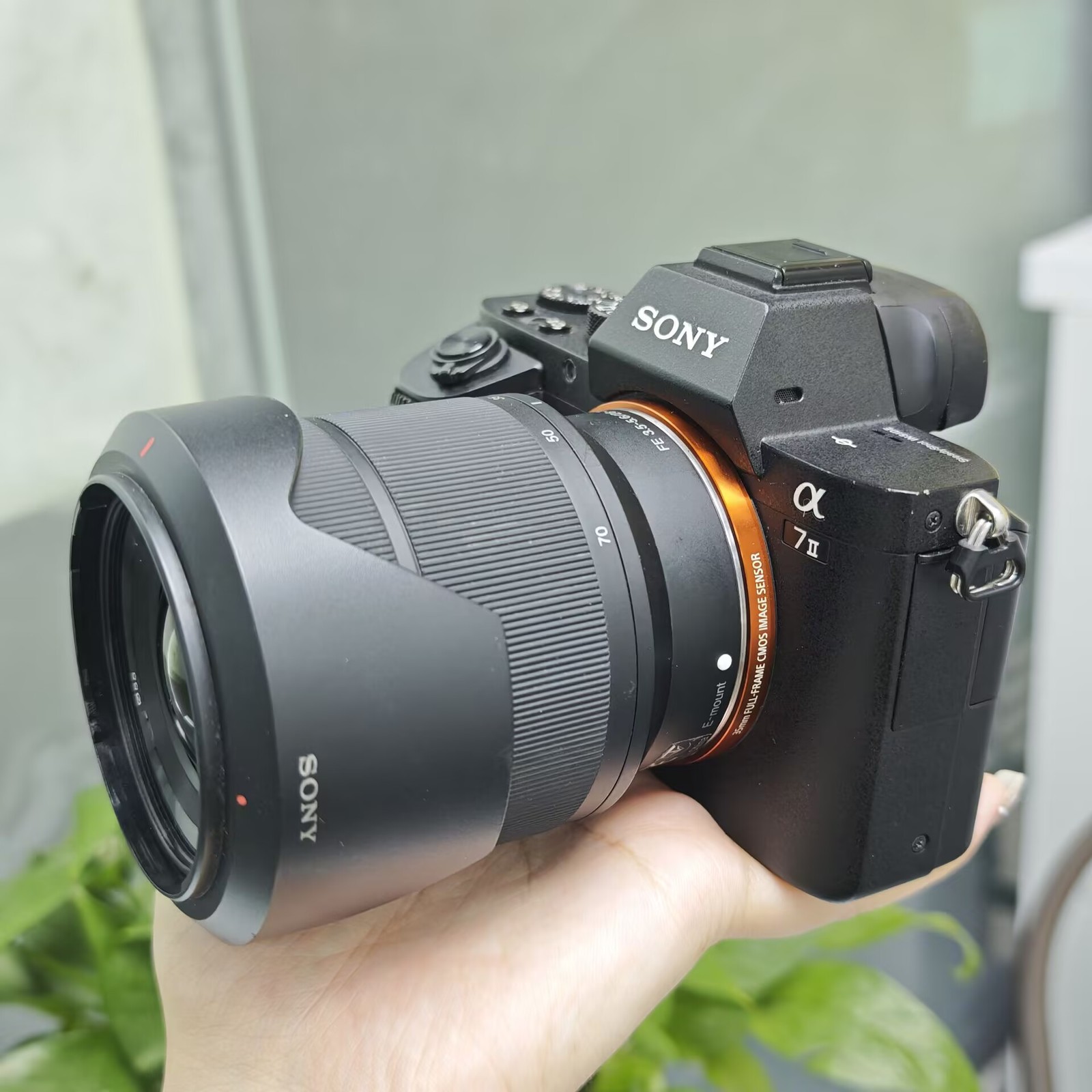 Sony Alpha a7 II Mirrorless Camera with FE 28-70mm f/3.5-5.6 OSS Lens English
