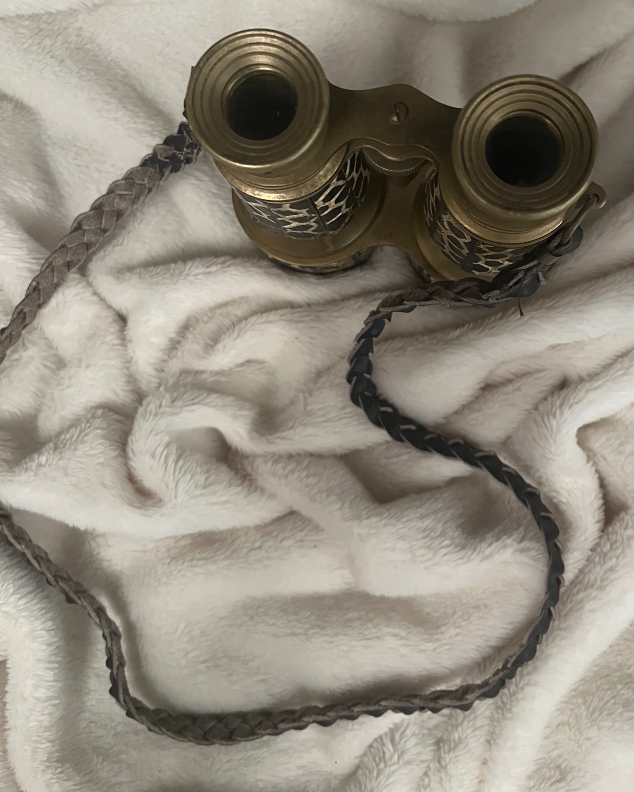 Decorative Bronze Binoculars