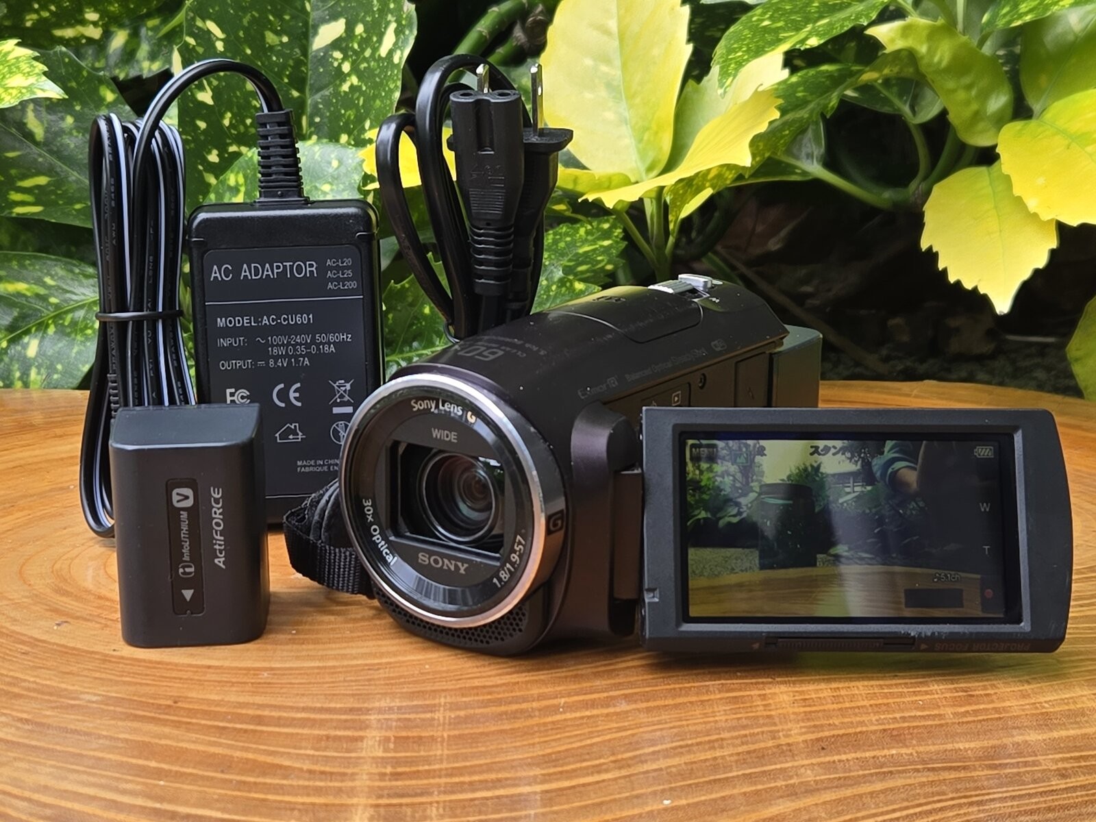 Sony HDR-PJ670 Camcorder AVCHD NTSC Nightshot Tested w/ 64GB MicroSD